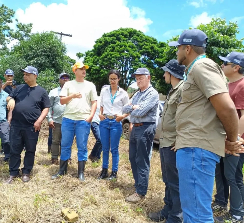 Missão internacional visita Ibirapitanga para conhecer iniciativas de reflorestamento e produção sustentável