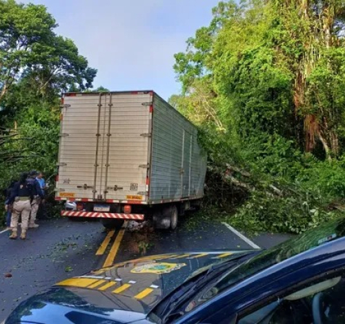 Tragédia na BR-415: queda de árvore causa morte e deixa ferido grave em Itabuna