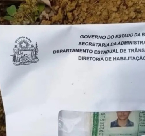 CNHs são encontradas espalhadas às margens da BR-101, entre Gandu e Itamarati, no Baixo Sul